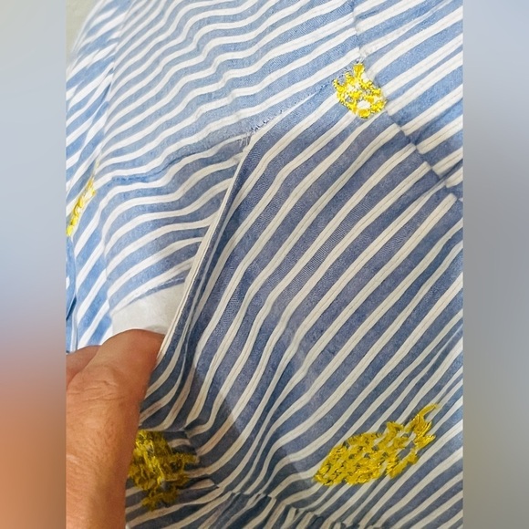 J.Crew Embroidered Pineapple Striped Tiered Midi Skirt Blue White Size XS - Picture 9 of 15